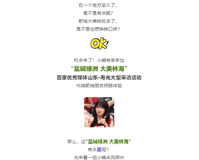 ���ֹ���F66��(�й���)�ٷ���վ