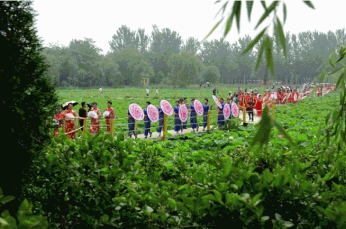 ���ֹ���F66��(�й���)�ٷ���վ