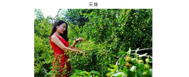 ���ֹ���F66��(�й���)�ٷ���վ