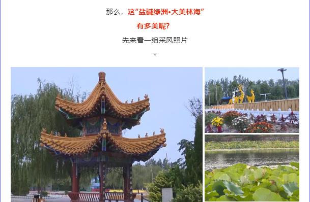 ���ֹ���F66��(�й���)�ٷ���վ