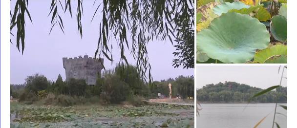 ���ֹ���F66��(�й���)�ٷ���վ