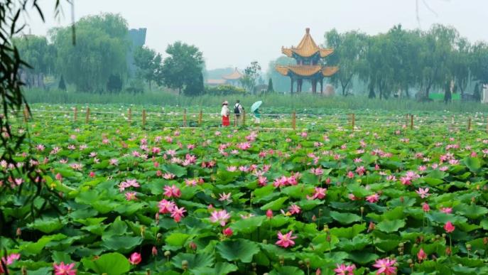 ���ֹ���F66��(�й���)�ٷ���վ