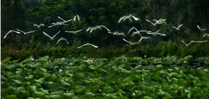 ���ֹ���F66��(�й���)�ٷ���վ