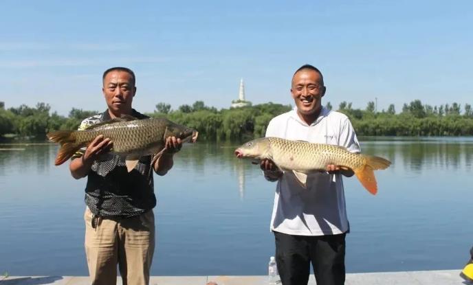 ���ֹ���F66��(�й���)�ٷ���վ