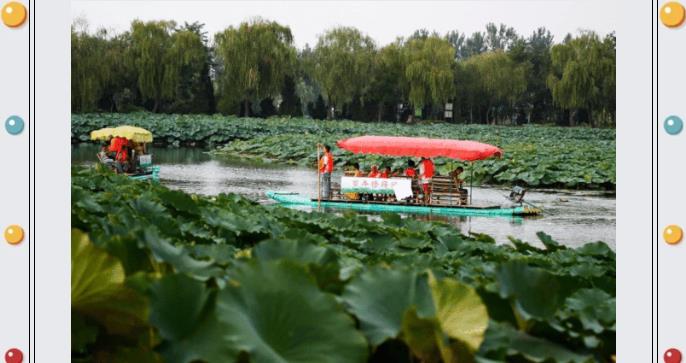 ���ֹ���F66��(�й���)�ٷ���վ