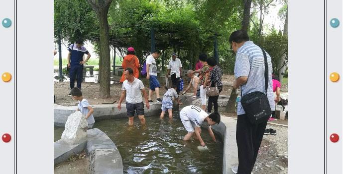 ���ֹ���F66��(�й���)�ٷ���վ