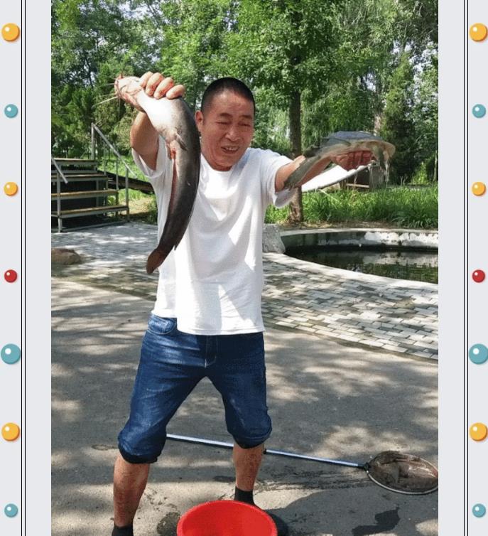 ���ֹ���F66��(�й���)�ٷ���վ