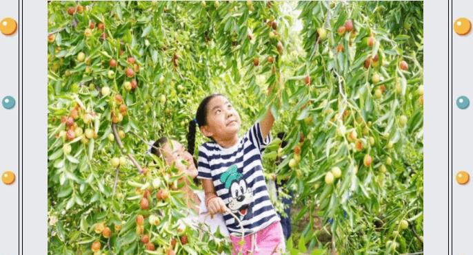 ���ֹ���F66��(�й���)�ٷ���վ