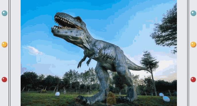 ���ֹ���F66��(�й���)�ٷ���վ