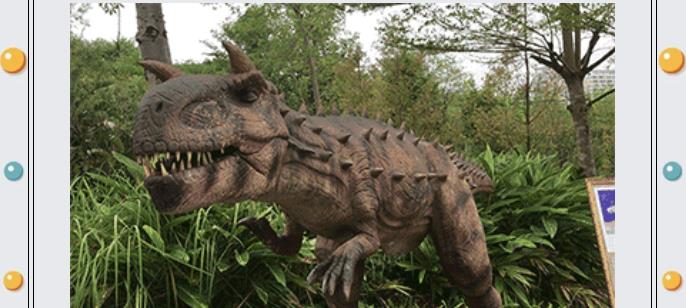 ���ֹ���F66��(�й���)�ٷ���վ