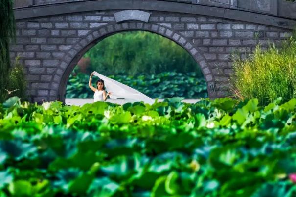 ���ֹ���F66��(�й���)�ٷ���վ