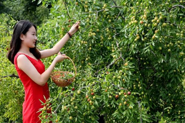 ���ֹ���F66��(�й���)�ٷ���վ