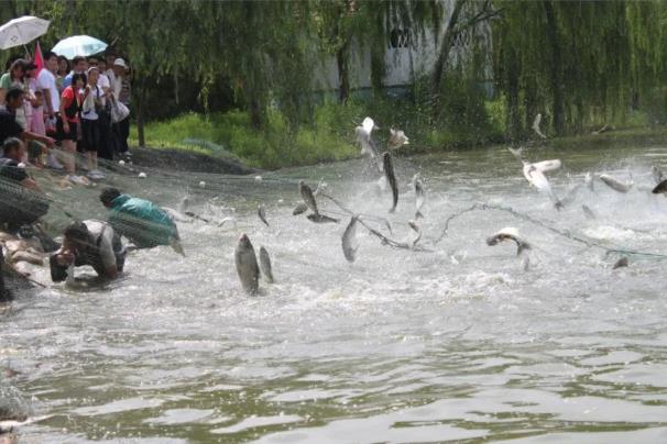 ���ֹ���F66��(�й���)�ٷ���վ