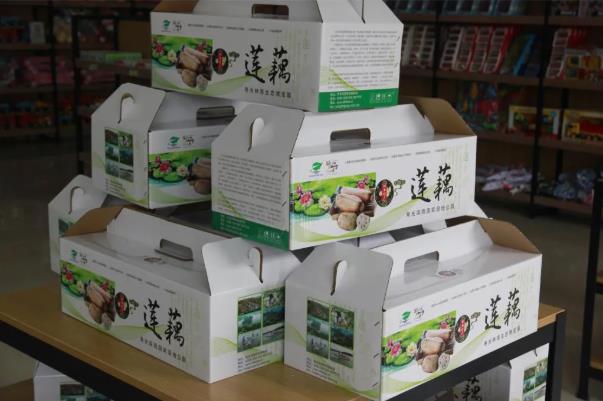 ���ֹ���F66��(�й���)�ٷ���վ