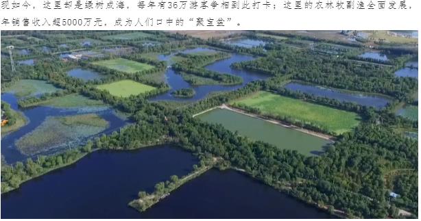 ���ֹ���F66��(�й���)�ٷ���վ