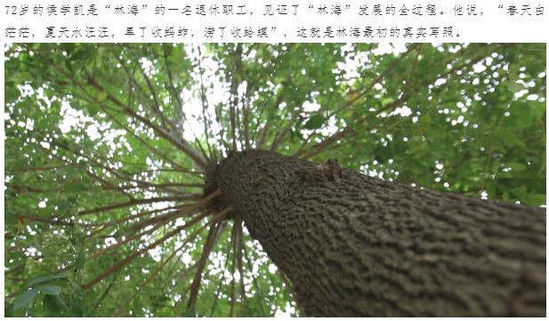 ���ֹ���F66��(�й���)�ٷ���վ