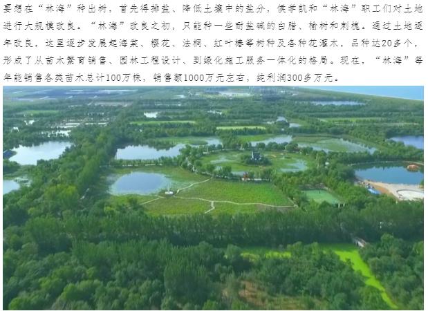 ���ֹ���F66��(�й���)�ٷ���վ