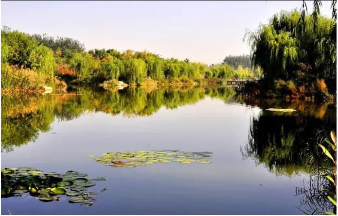 ���ֹ���F66��(�й���)�ٷ���վ