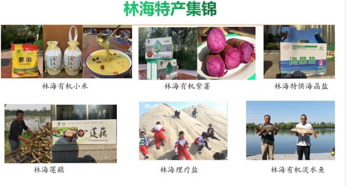 ���ֹ���F66��(�й���)�ٷ���վ