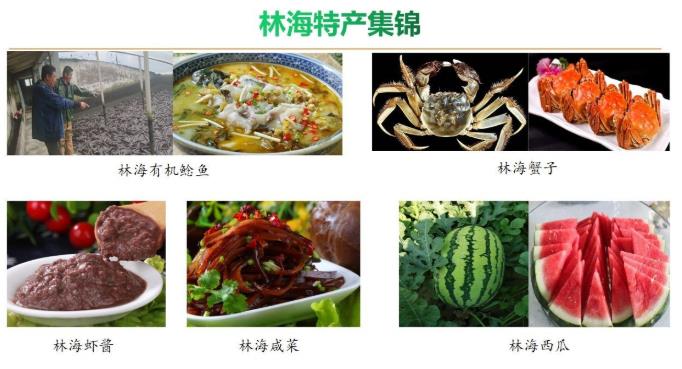 ���ֹ���F66��(�й���)�ٷ���վ