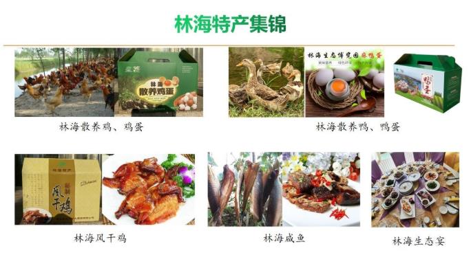 ���ֹ���F66��(�й���)�ٷ���վ