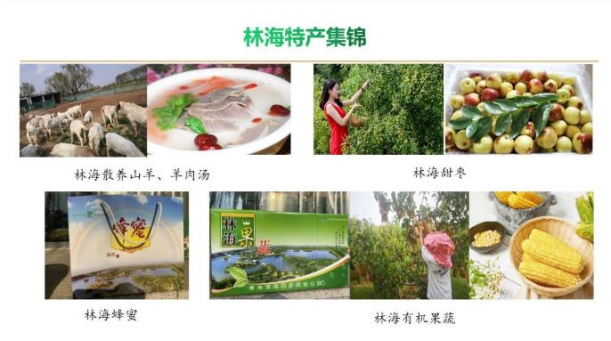 ���ֹ���F66��(�й���)�ٷ���վ