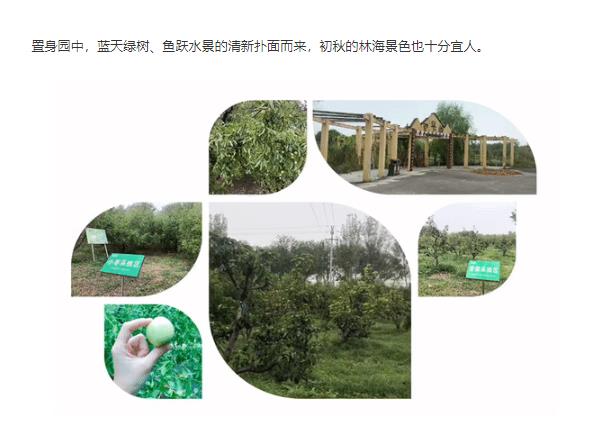 ���ֹ���F66��(�й���)�ٷ���վ