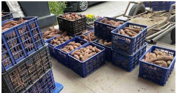 ���ֹ���F66��(�й���)�ٷ���վ