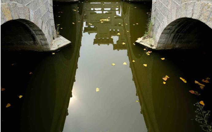 ���ֹ���F66��(�й���)�ٷ���վ