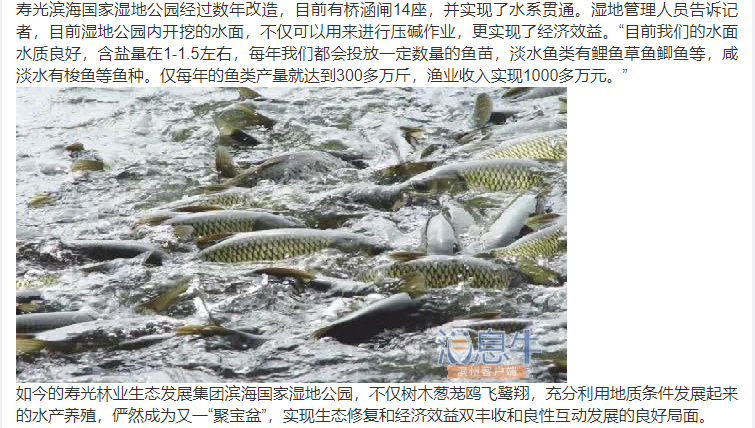 ���ֹ���F66��(�й���)�ٷ���վ