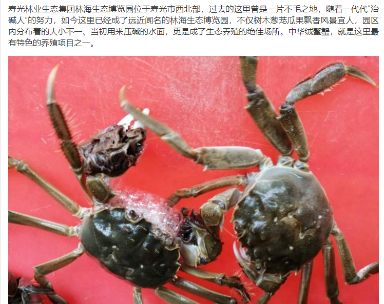 ���ֹ���F66��(�й���)�ٷ���վ