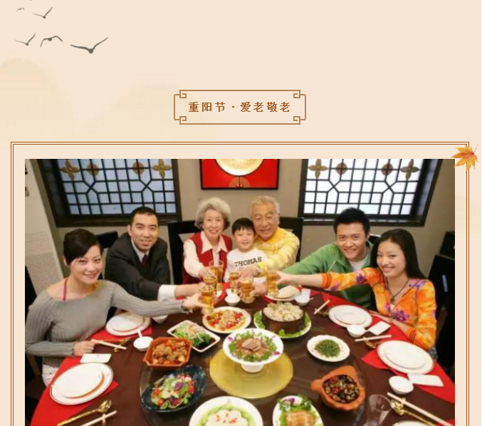 ���ֹ���F66��(�й���)�ٷ���վ