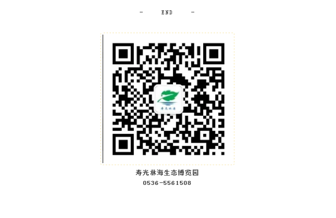 ���ֹ���F66��(�й���)�ٷ���վ