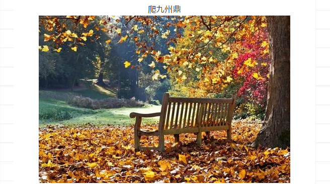 ���ֹ���F66��(�й���)�ٷ���վ