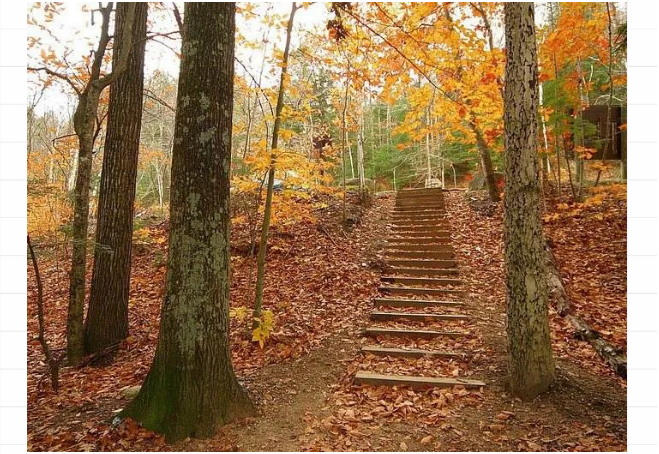 ���ֹ���F66��(�й���)�ٷ���վ