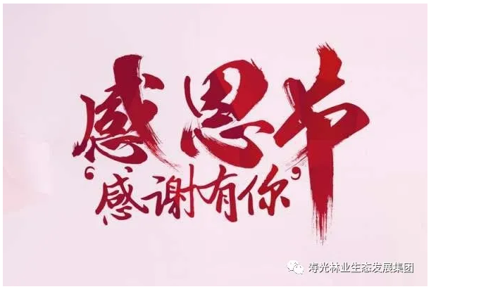 ���ֹ���F66��(�й���)�ٷ���վ