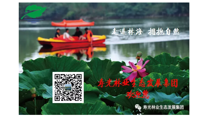 ���ֹ���F66��(�й���)�ٷ���վ