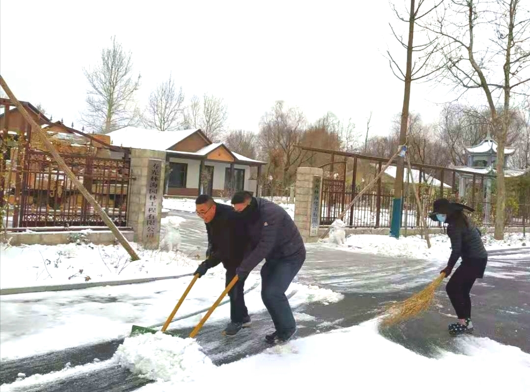 ���ֹ���F66��(�й���)�ٷ���վ