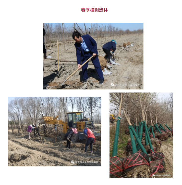 ���ֹ���F66��(�й���)�ٷ���վ