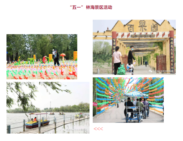 ���ֹ���F66��(�й���)�ٷ���վ