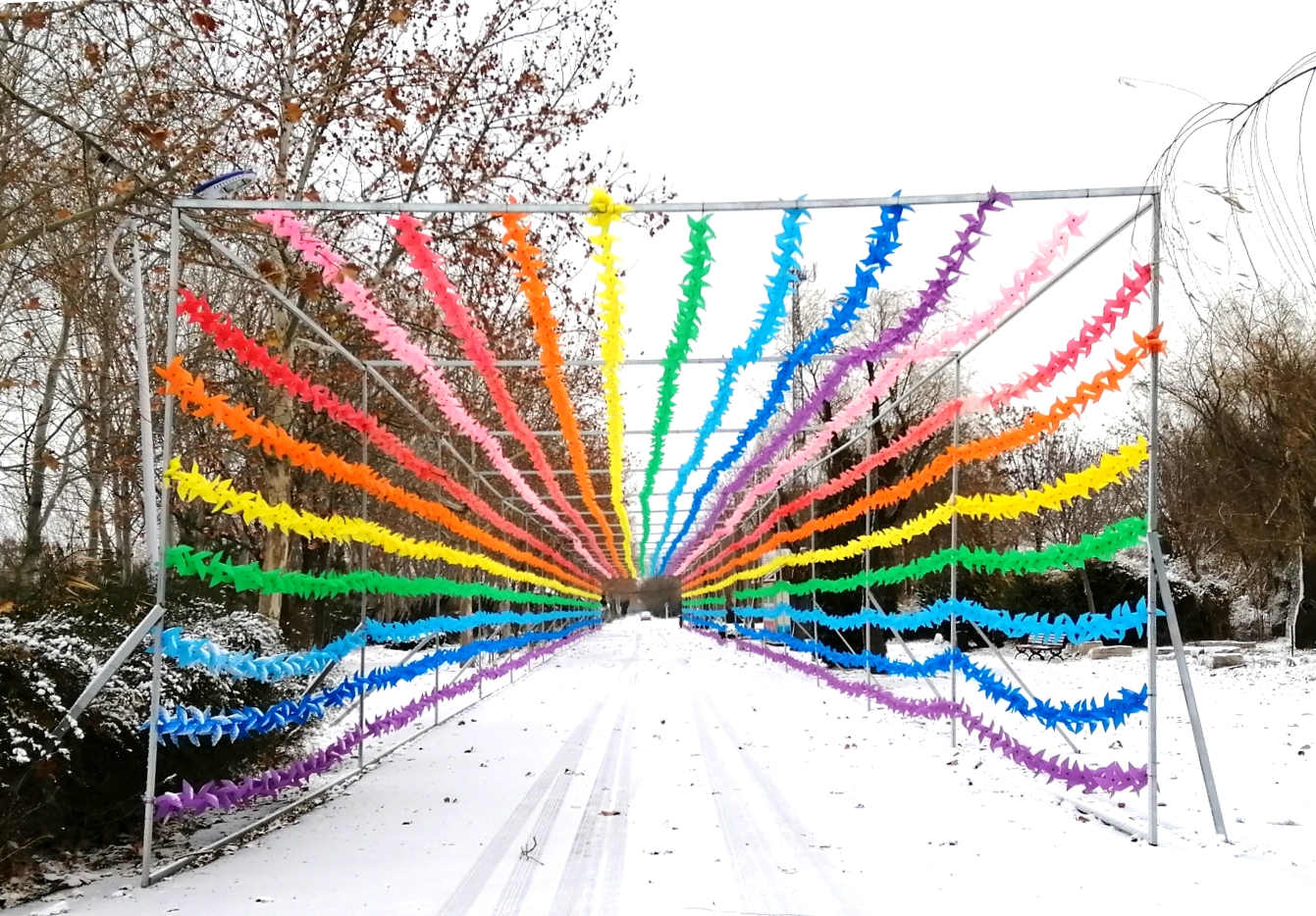 ���ֹ���F66��(�й���)�ٷ���վ