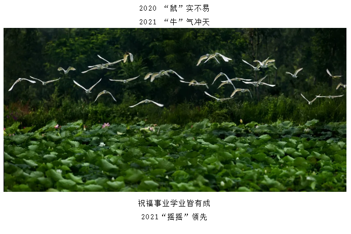 ���ֹ���F66��(�й���)�ٷ���վ