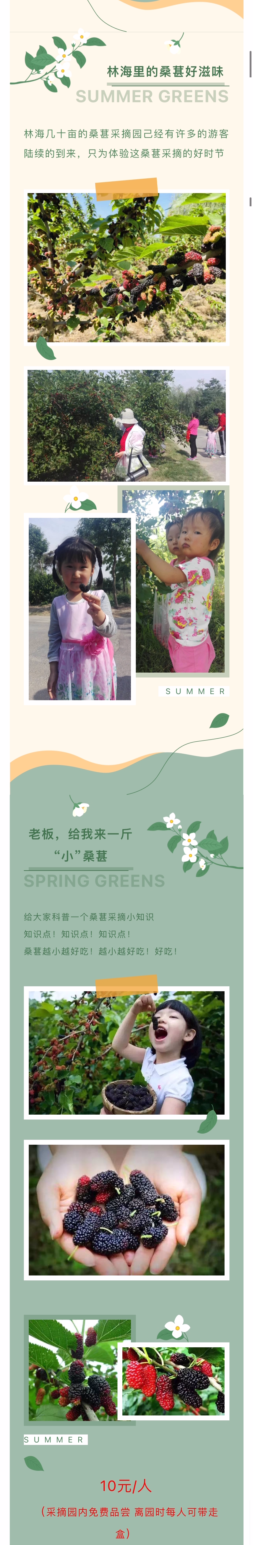 ���ֹ���F66��(�й���)�ٷ���վ