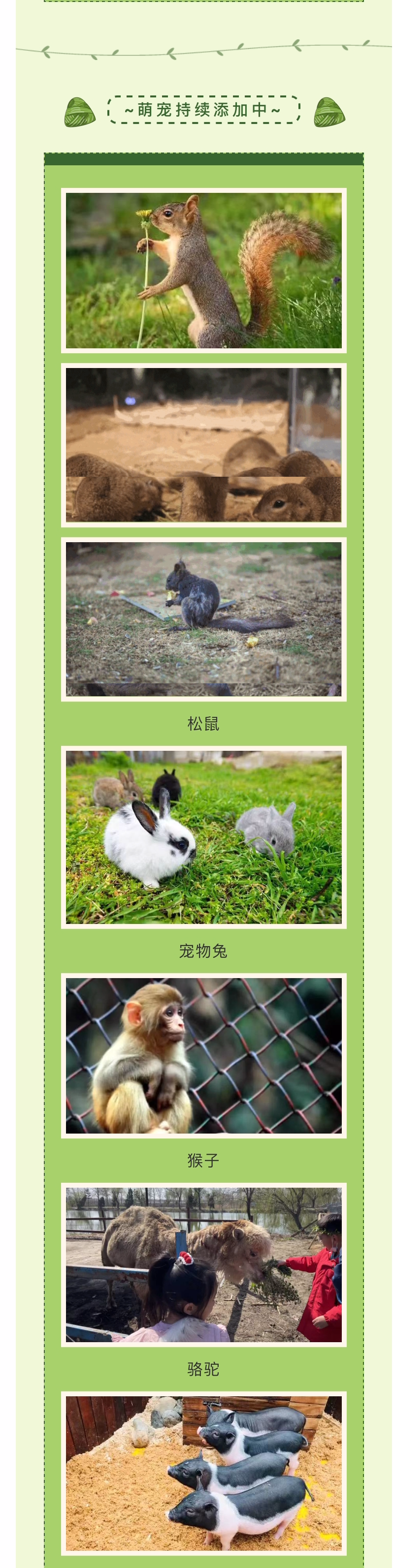 ���ֹ���F66��(�й���)�ٷ���վ