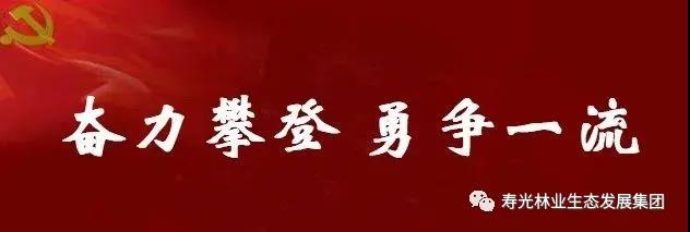 ���ֹ���F66��(�й���)�ٷ���վ