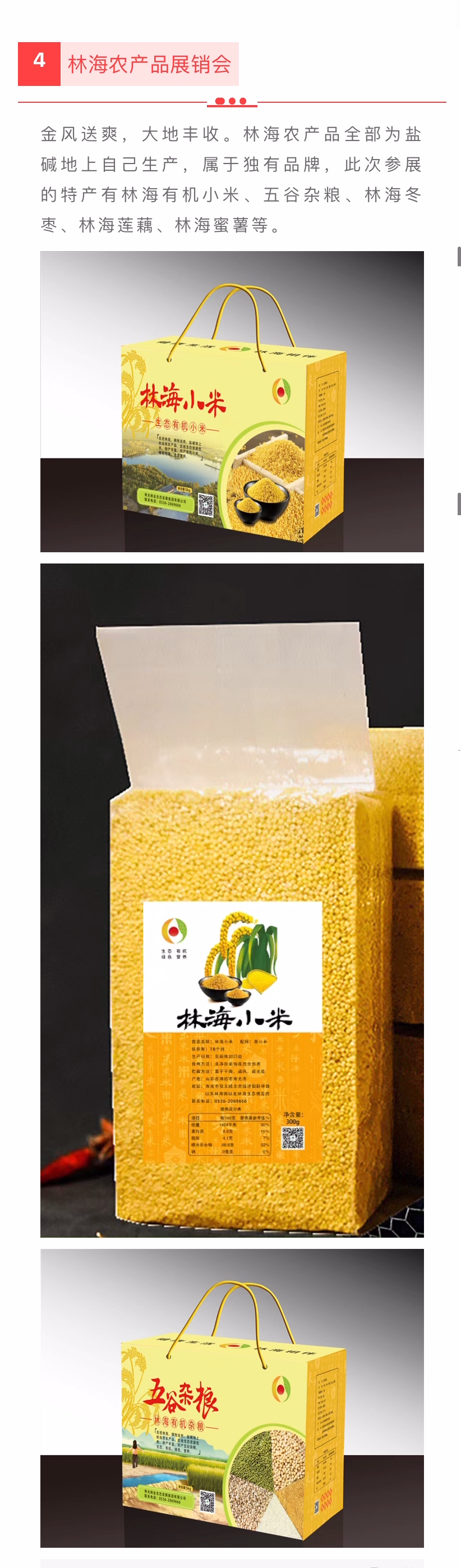 ���ֹ���F66��(�й���)�ٷ���վ