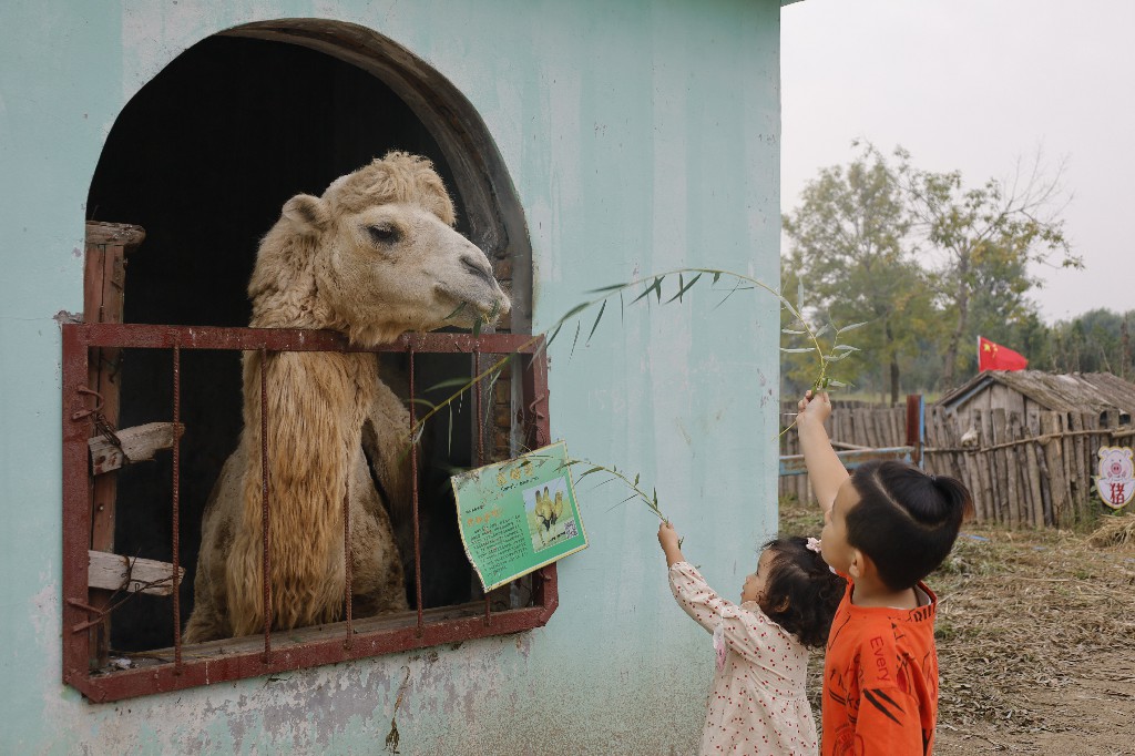 ���ֹ���F66��(�й���)�ٷ���վ