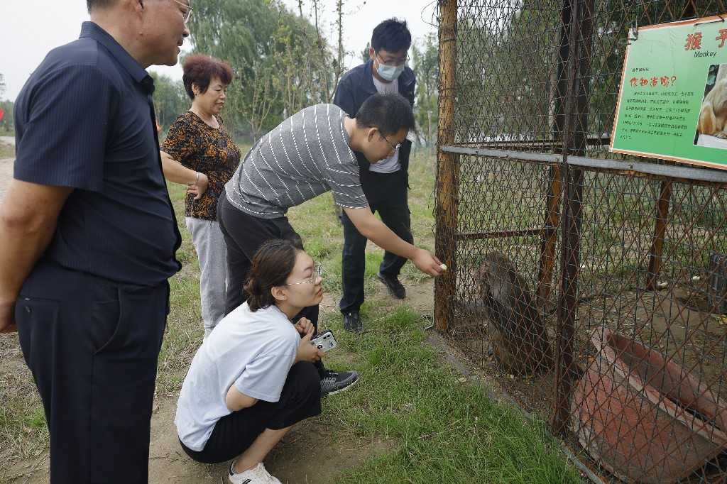 ���ֹ���F66��(�й���)�ٷ���վ