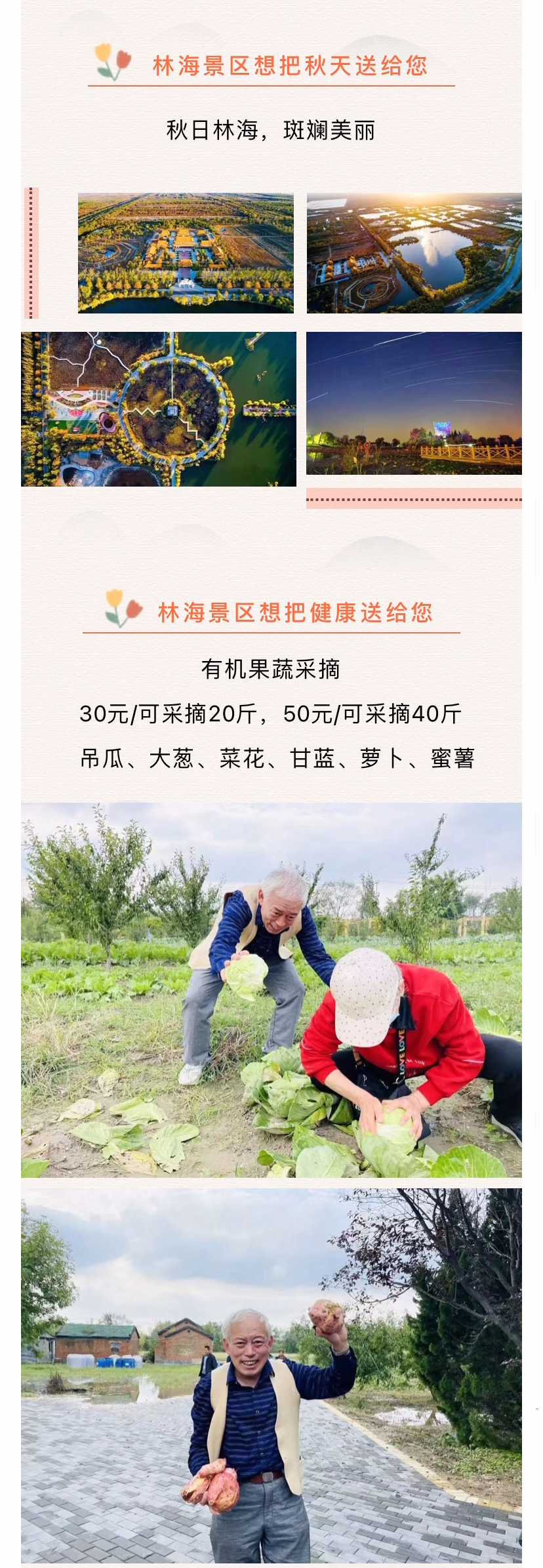 ���ֹ���F66��(�й���)�ٷ���վ