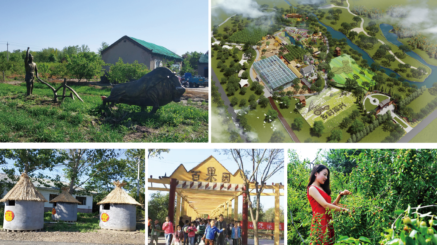 ���ֹ���F66��(�й���)�ٷ���վ